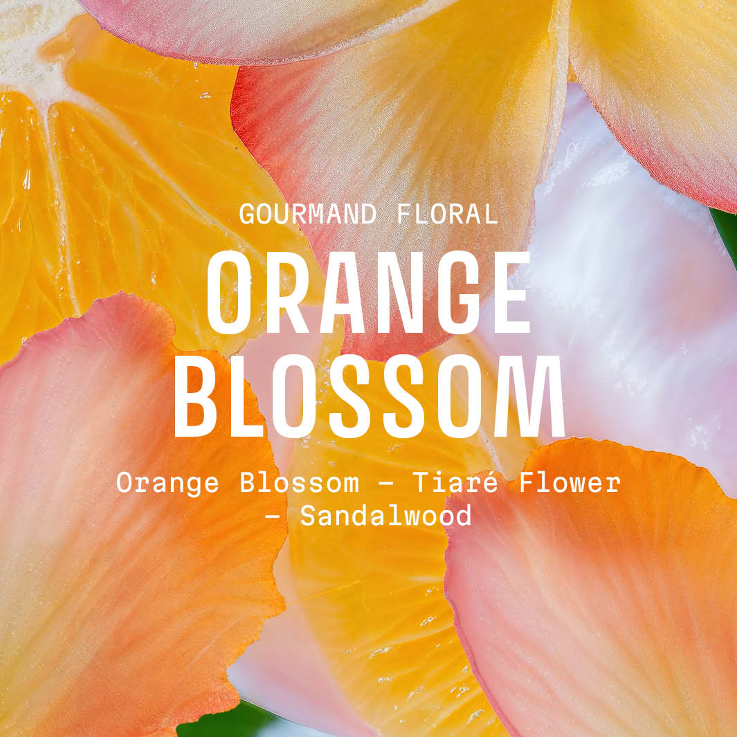 Orange Blossom Perfume Gift Set – Eau de Toilette 1.7 fl oz + Hand Cream 1 fl oz