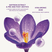 Anti - Aging Night Cream - Lift, firmness - Face Care - Panier des Sens USA