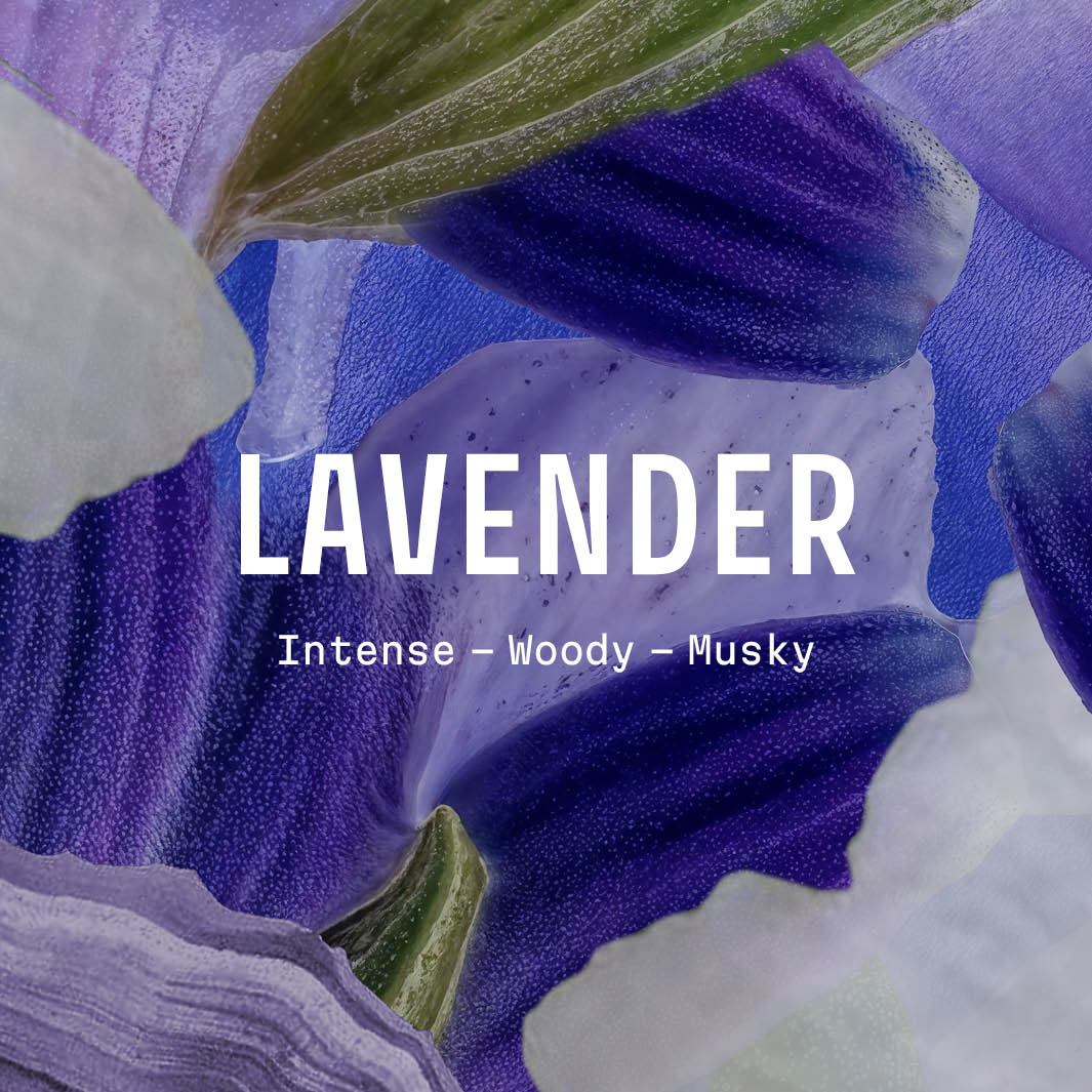 Crema de manos de lavanda - 30 ml - Cuidado de las manos - Panier des Sens