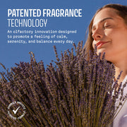 Lavender Pillow Mist - Pillow mist - Panier des Sens USA