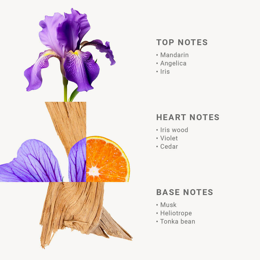 Liquid Marseille Soap - Blooming Iris savon liquide de Marseille - Liquid Marseille Soap - Panier des Sens USA