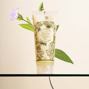 Set of 6 Verbena Shower Gels (6.7 fl.oz.) - Shower gel - Panier des Sens USA