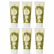 Set of 6 Verbena Shower Gels (6.7 fl.oz.) - Shower gel - Panier des Sens USA