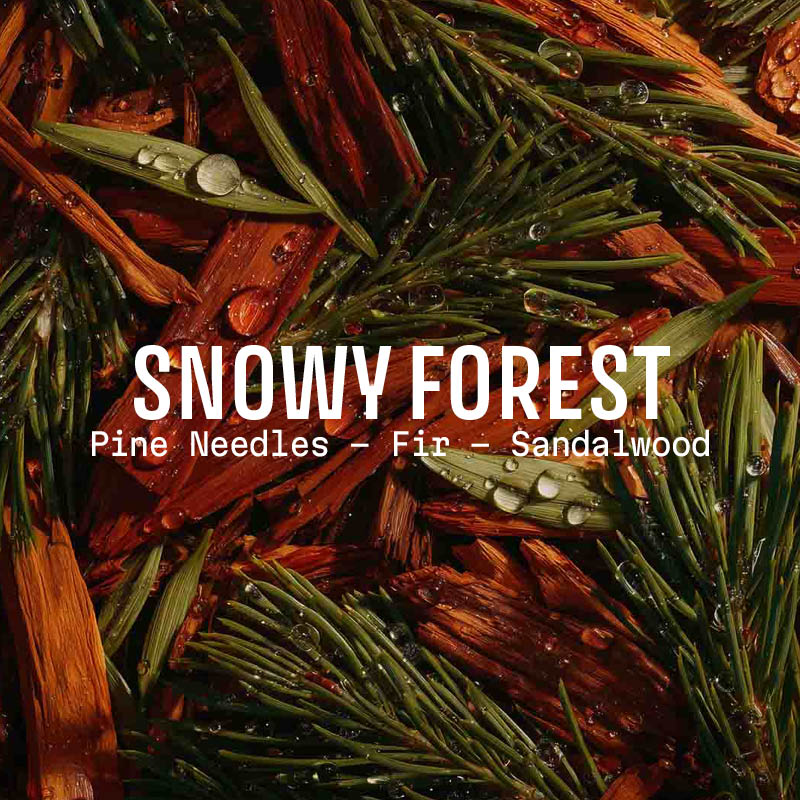Snowy Forest Soap 7oz – Christmas Limited Edition - Solid cosmetics - Panier des Sens USA